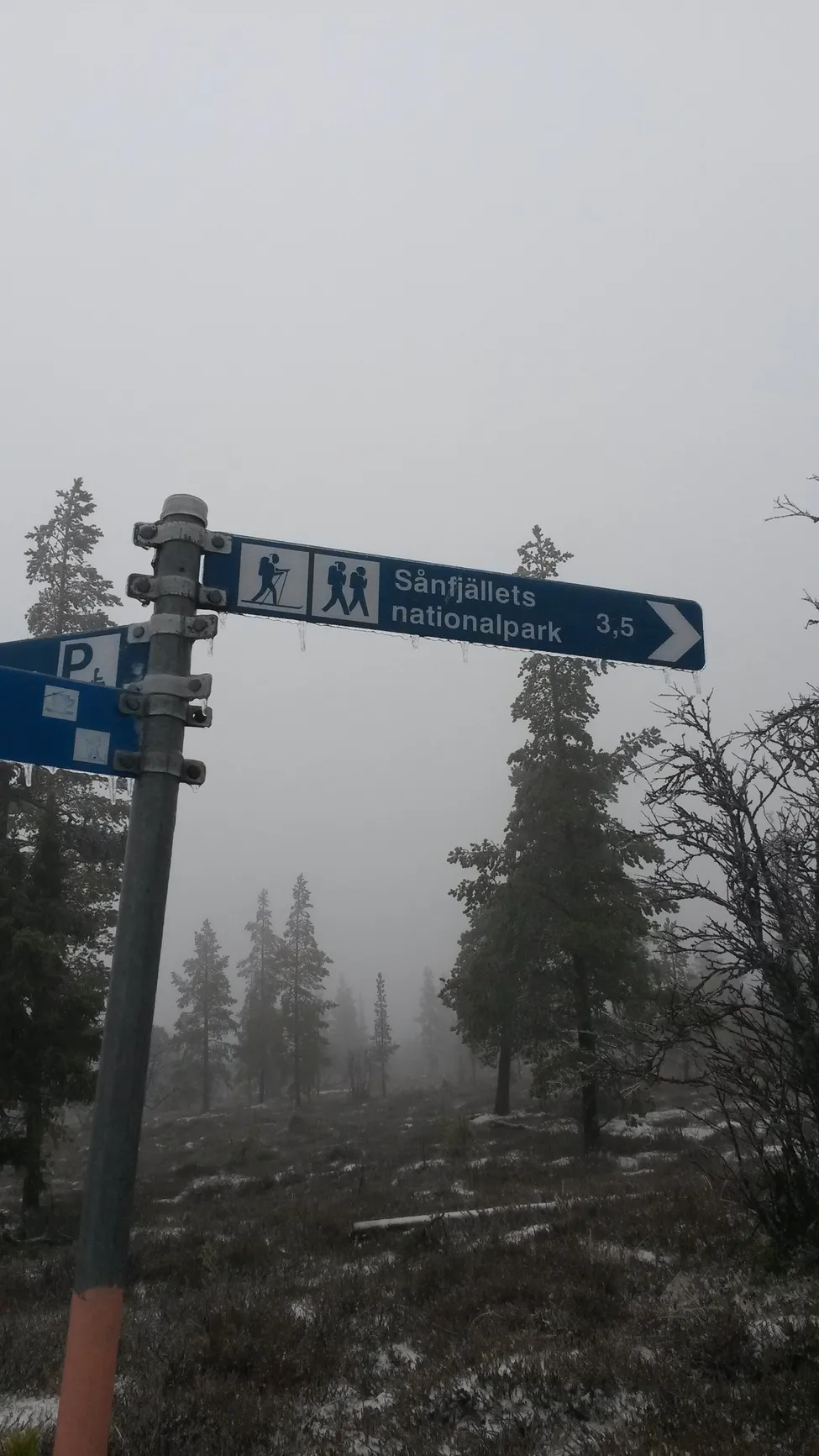 Klicka för att förstora