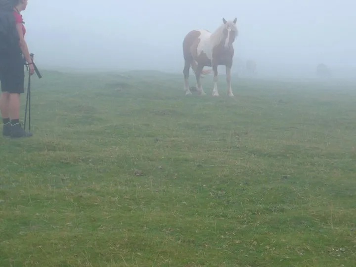 Klicka för att förstora