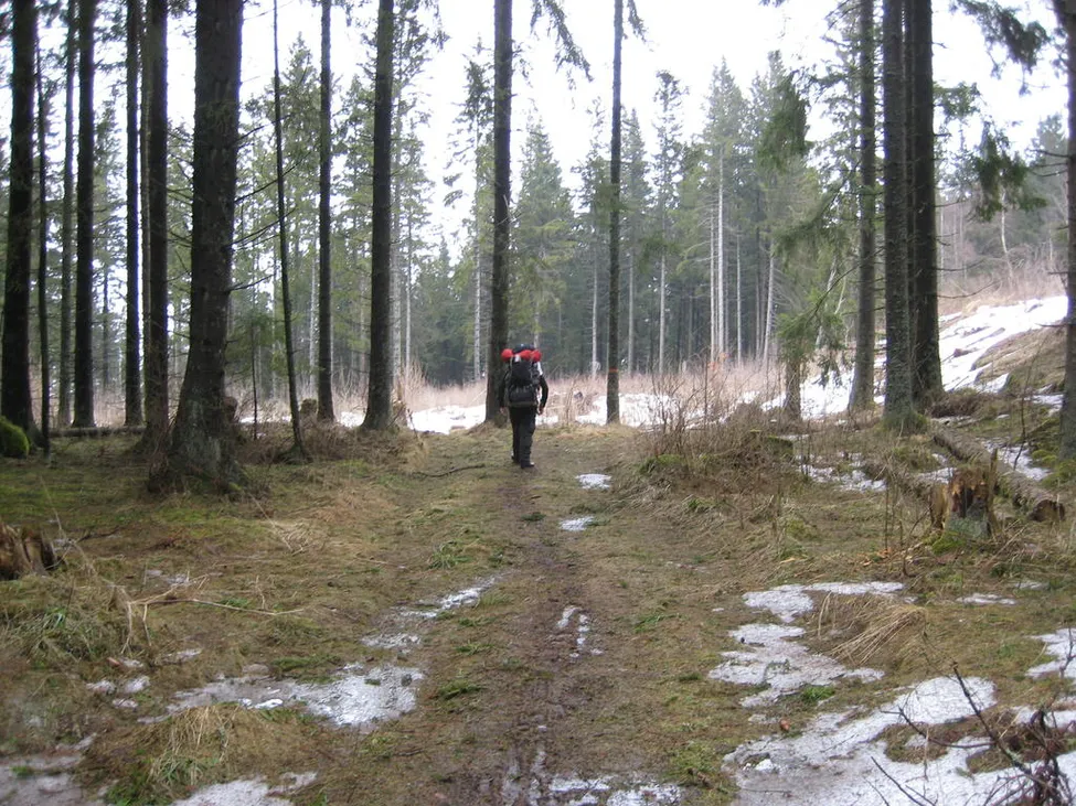 Klicka för att förstora