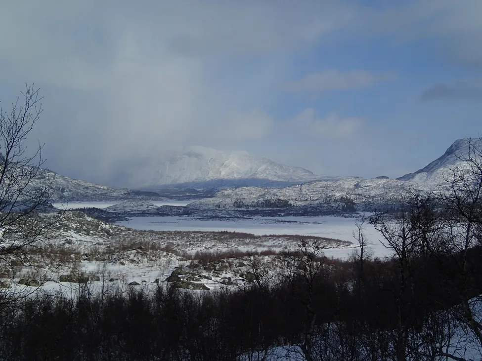 Klicka för att förstora