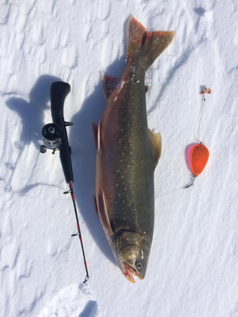 Klicka för att förstora