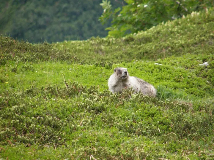 Klicka för att förstora