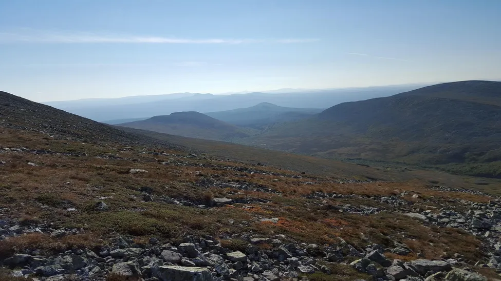 Klicka för att förstora