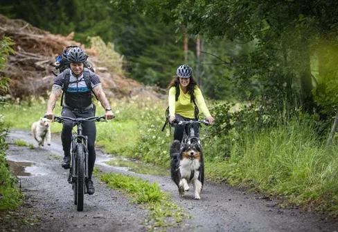 Cykelanpassning gör S:t Olavsleden tillgänglig för fler