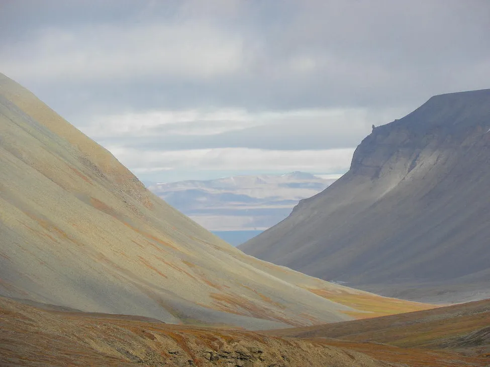 Klicka för att förstora