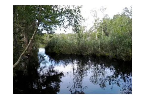 Nacka reservatet från Solsidan med flytande öar