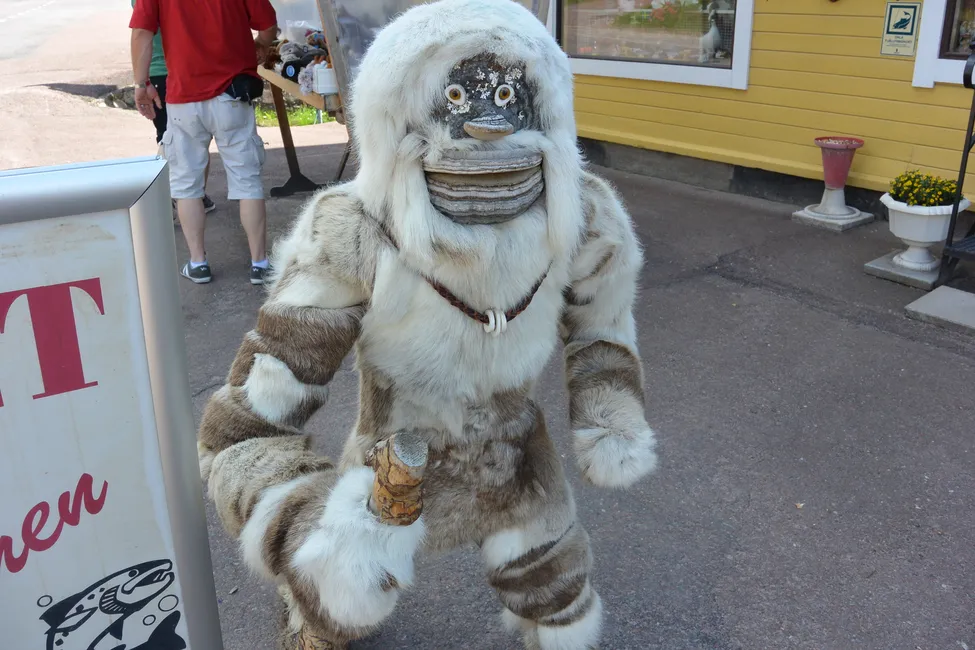 Klicka för att förstora