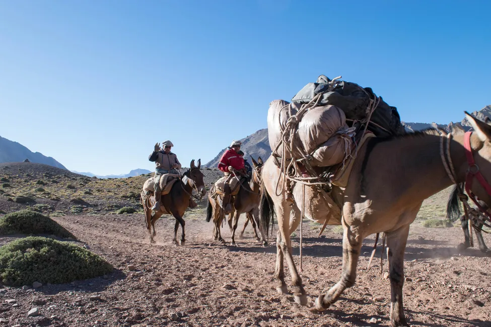 Klicka för att förstora
