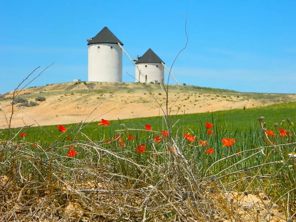 Klicka för att förstora