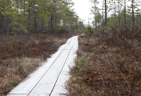 En vindig vandring längs Järnsjöleden, Storfors kommun