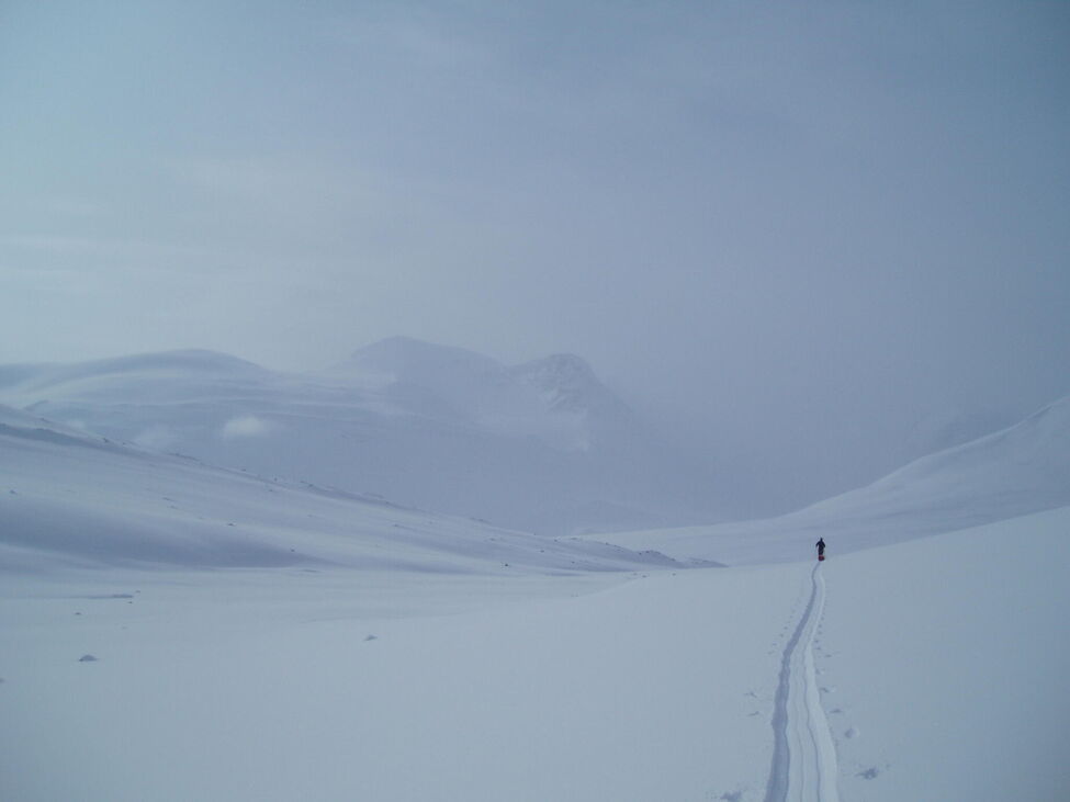 Klicka för att förstora