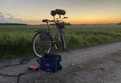 Lyssnarsuccé för Fågelsångsnatten i P1