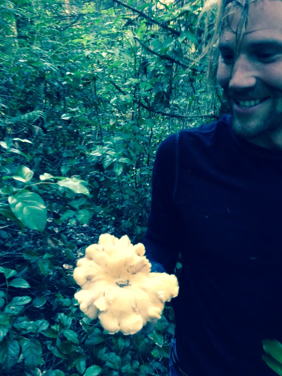 Klicka för att förstora