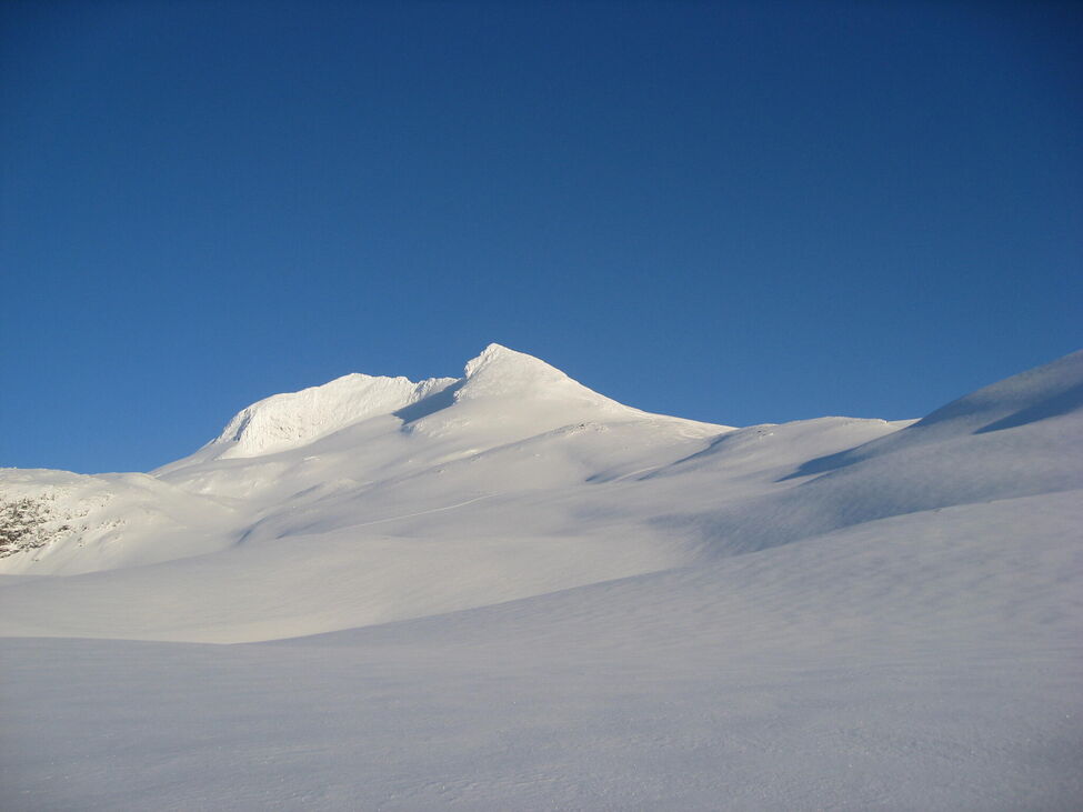 Klicka för att förstora
