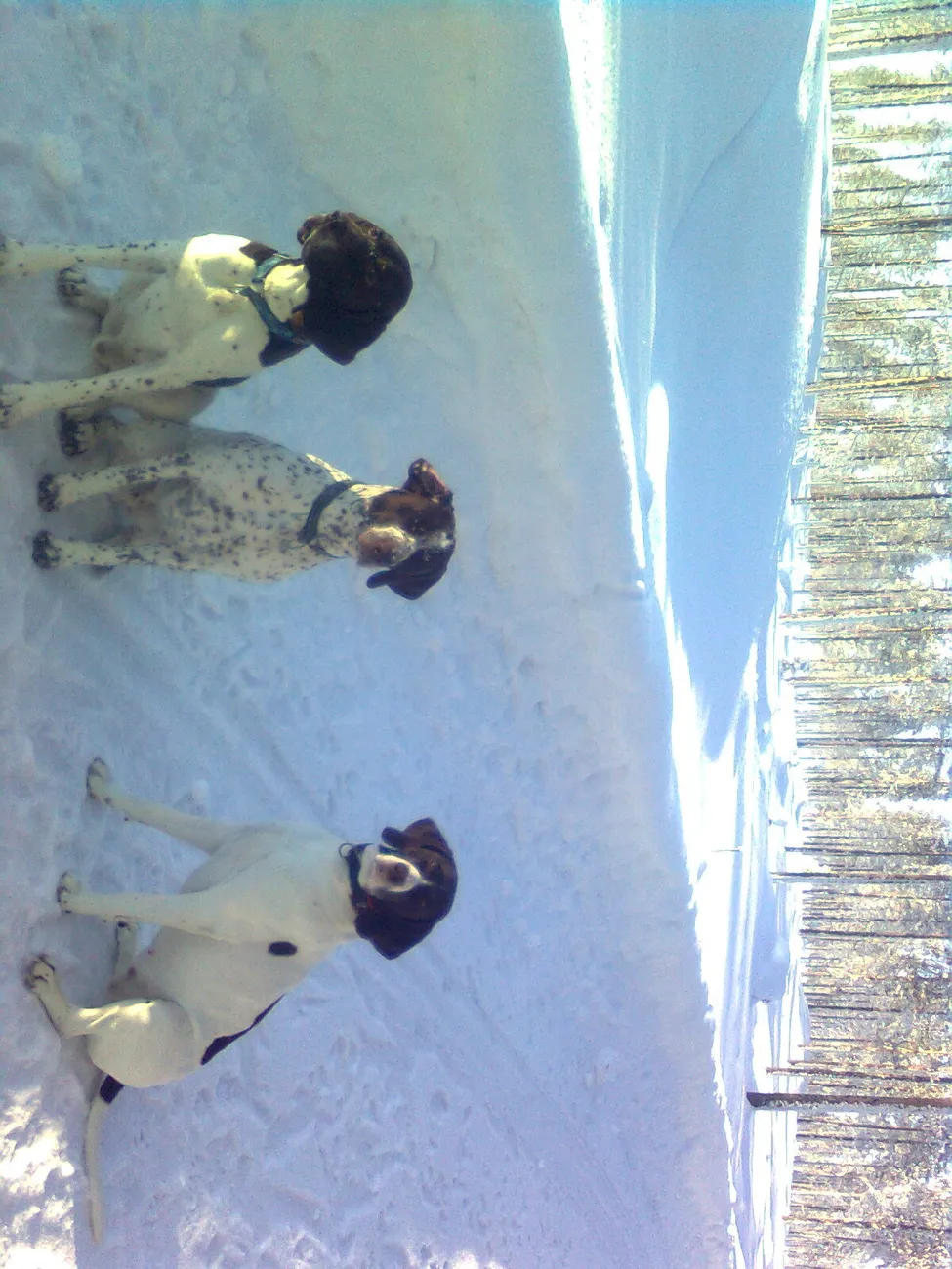 Klicka för att förstora