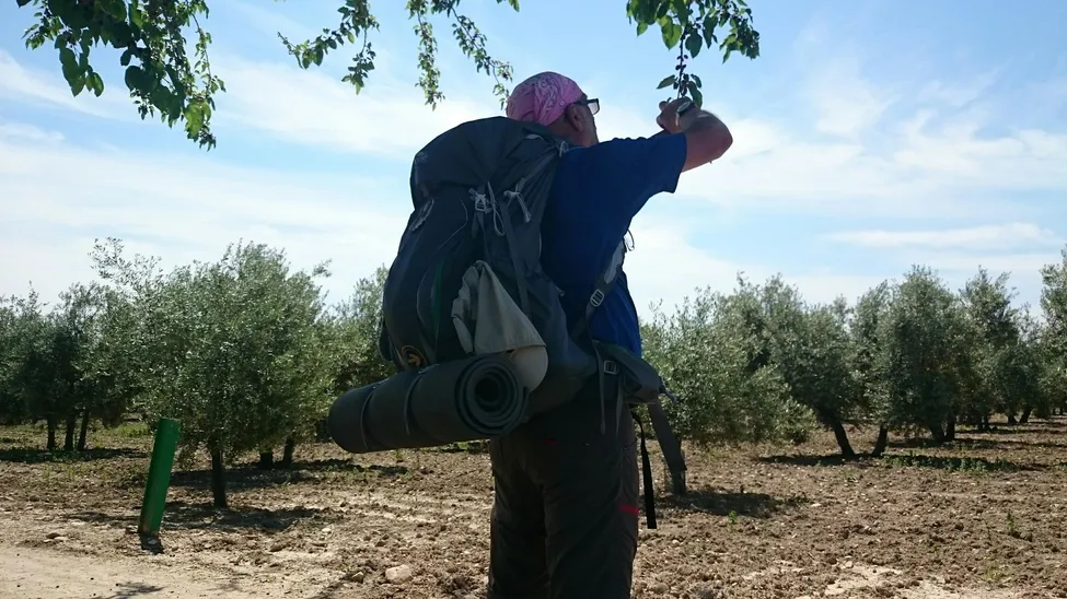 Klicka för att förstora