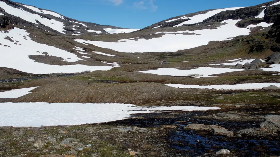 Klicka för att förstora