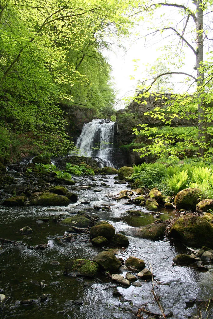 Klicka för att förstora