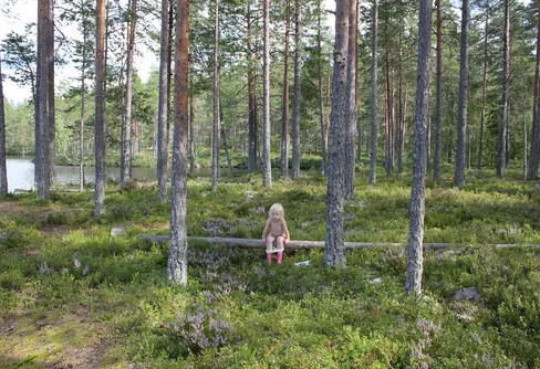 Det var inget SKITÅR det här... GOD JUL!