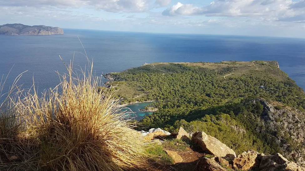 Klicka för att förstora