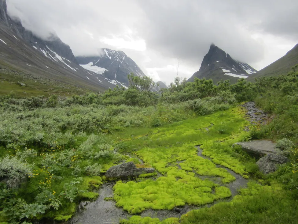 Klicka för att förstora