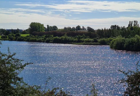 Arriesjön - stadsnära vandring (på behändigt avstånd, strax utanför Malmö)
