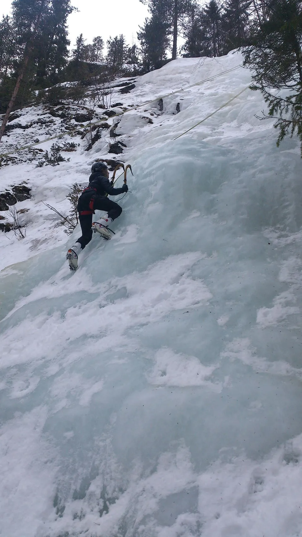 Klicka för att förstora