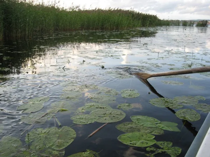 Klicka för att förstora