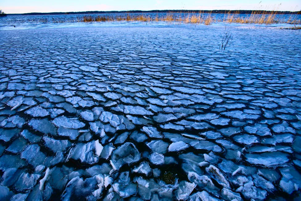 Klicka för att förstora