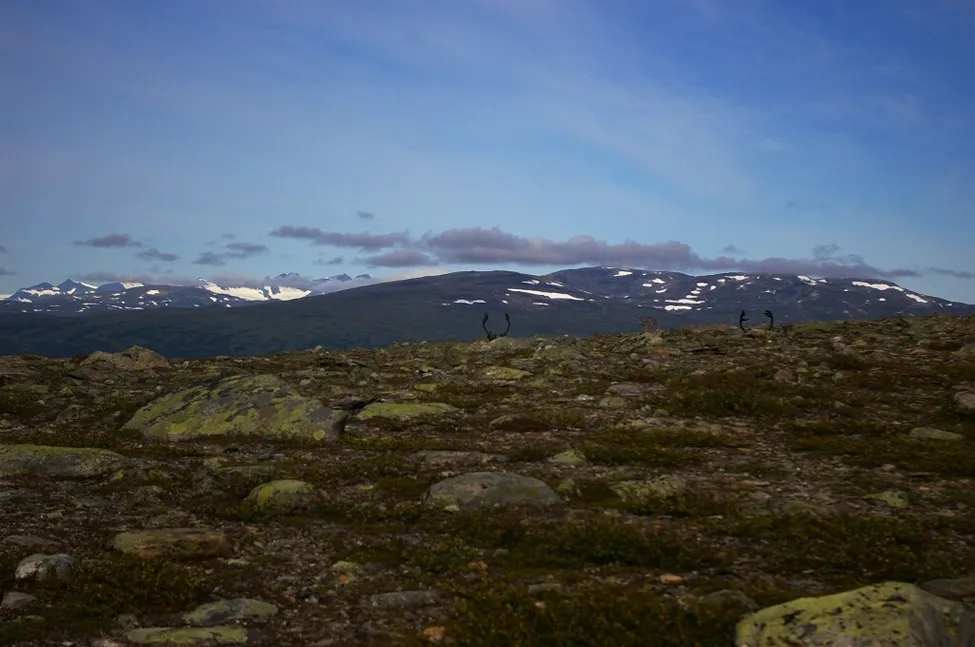 Klicka för att förstora