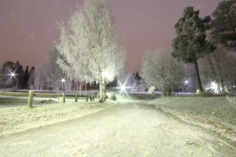 Klicka för att förstora