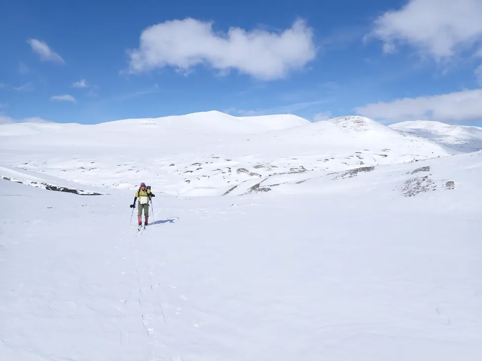 Klicka för att förstora