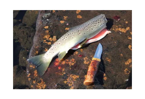 Uppfinning upptäckt mer än 1000 år för sent...