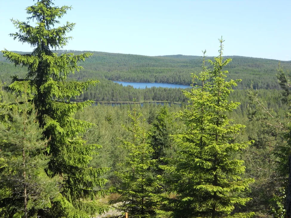 Klicka för att förstora