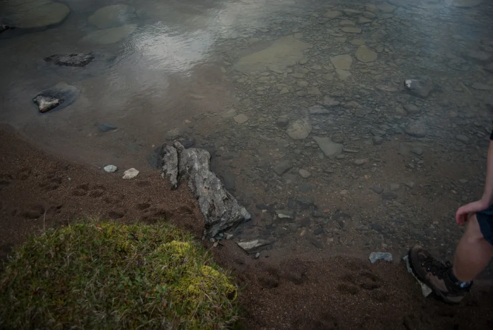 Klicka för att förstora