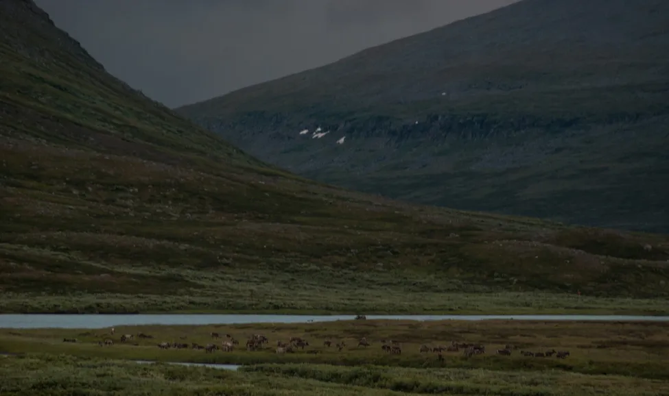 Klicka för att förstora