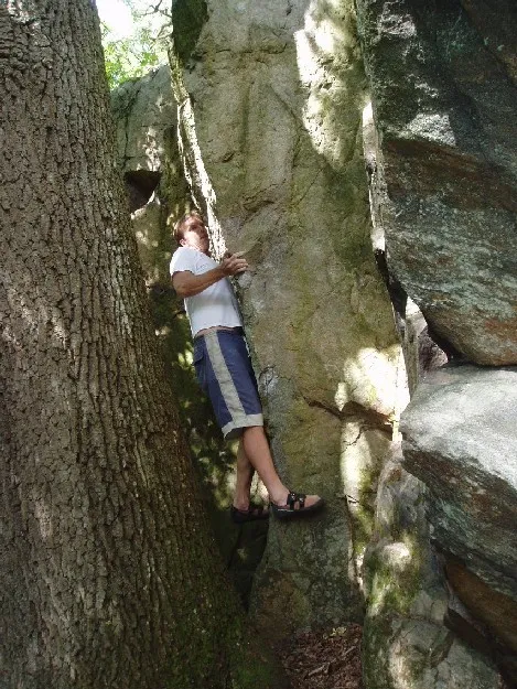 Klicka för att förstora