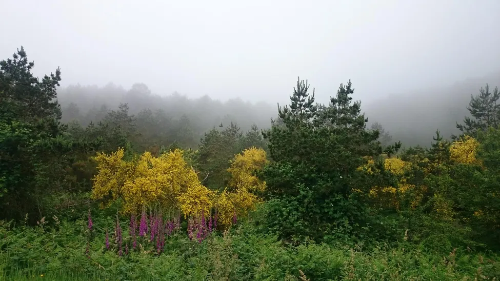 Klicka för att förstora