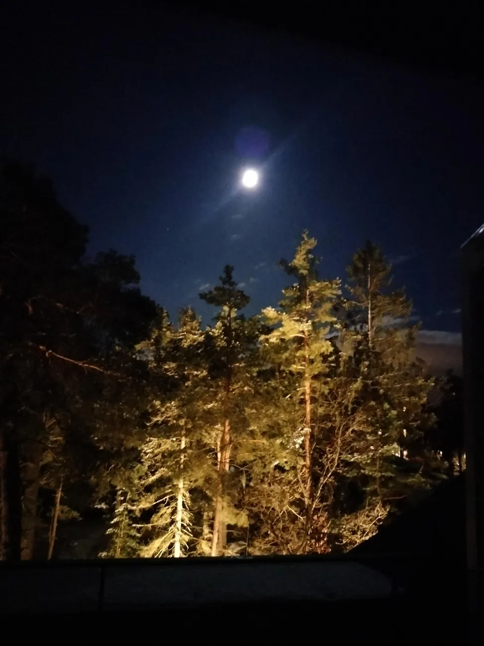 Klicka för att förstora
