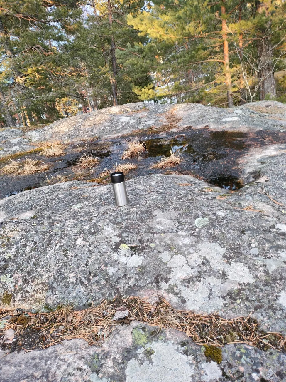 Klicka för att förstora