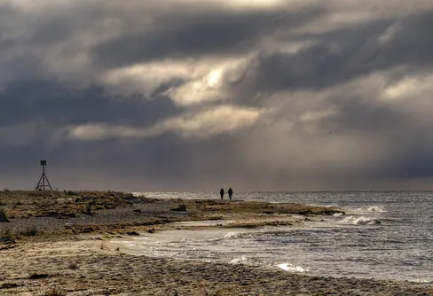 Naturfotografens bästa julklapp – det skånska vinterljuset