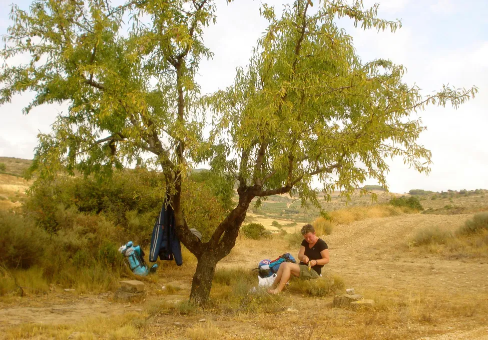 Klicka för att förstora