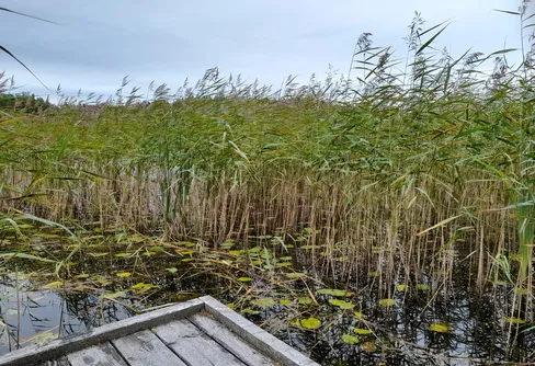 Byträsk, Geta, Åland