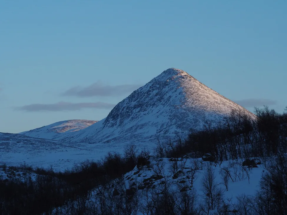 Klicka för att förstora