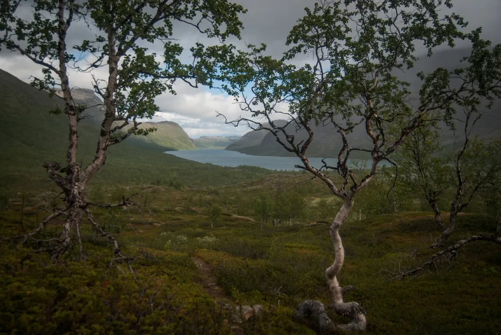 Klicka för att förstora