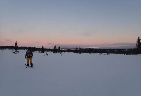 En run-tur och kamtravers mellan Lövrun och Gammalbodrun 251221