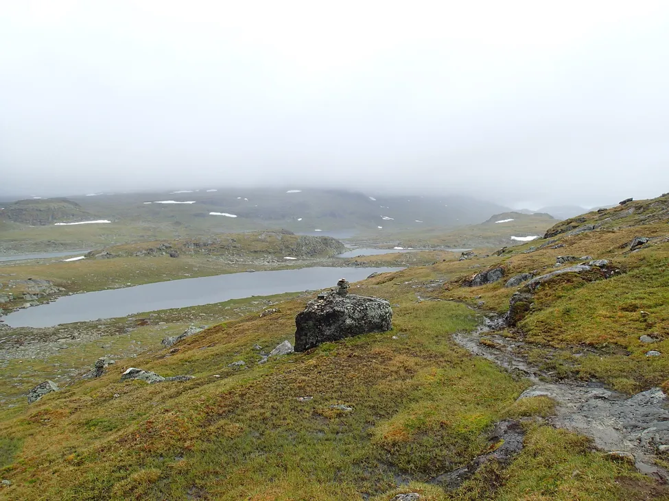 Klicka för att förstora