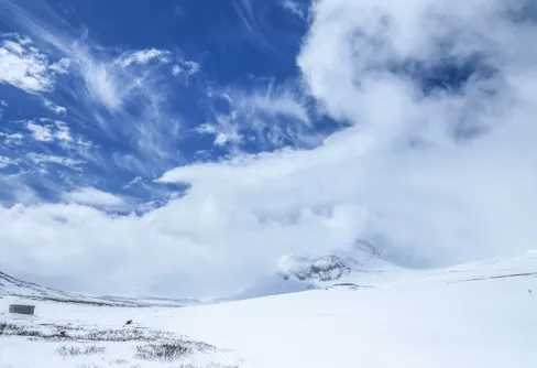 Fyra nyanser av sommar. Del 1 - vårvinter