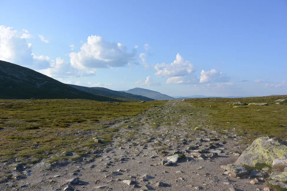 Klicka för att förstora