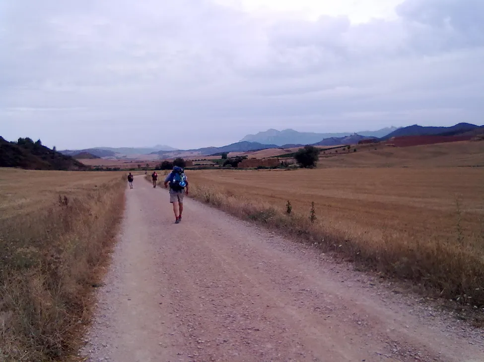 Klicka för att förstora